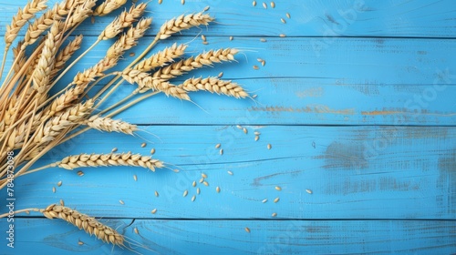 Wheat ears grain on blue wooden background. World Food Day Concept (October 16), Top view and Copy space for your text