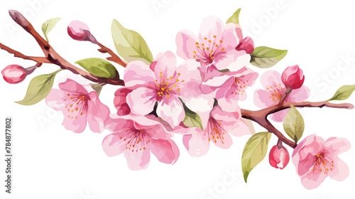 Watercolor illustration of pink cherry blossom. Han