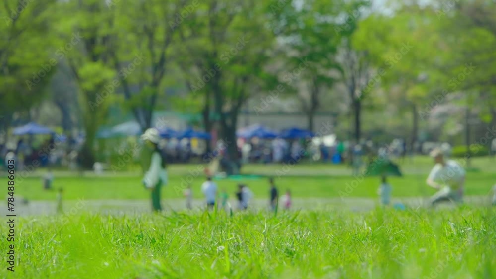 公園のイメージ 公園のイメージ