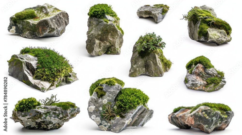 Group of rocks covered with moss in a natural environment. Group of rocks covered with moss in a natural environment.