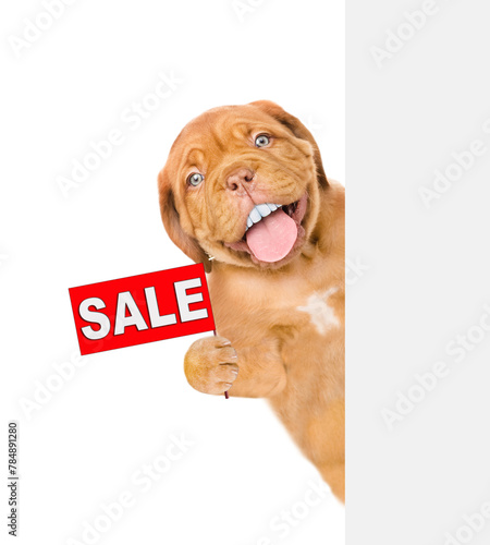 Happy Mastiff puppy with funny big teeth shows signboard with labeled "sale" above empty white banner. isolated on white background