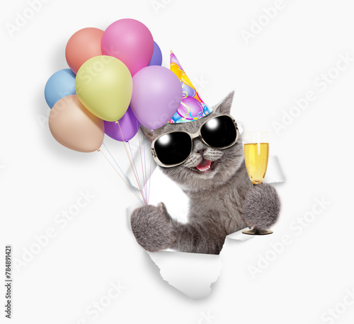 Happy cat wearing sunglasses and party cap holding balloons and glass of champagne, looking through the hole in white paper