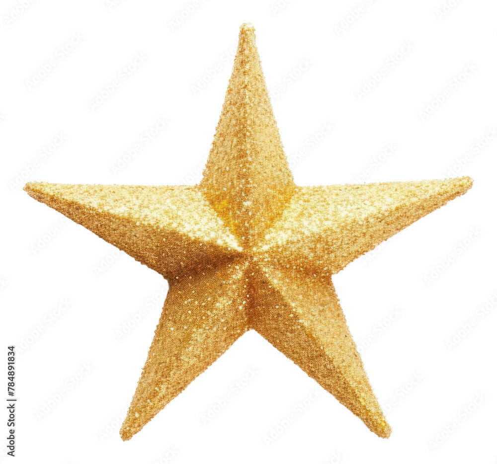PNG Echinoderm christmas freshness starfish PNG Echinoderm christmas freshness starfish