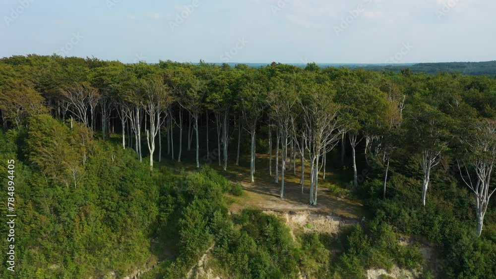 Forest Beach In Debina Las Plaza Aerial View Poland Forest Beach In Debina Las Plaza Aerial View Poland