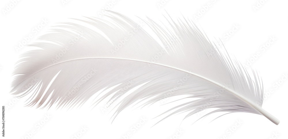 Naklejka premium PNG White bird feather