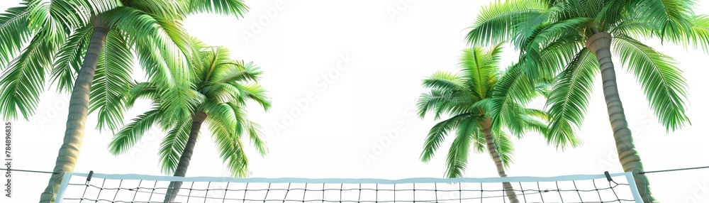 Volleyball net clipart strung up between palm trees HD characters