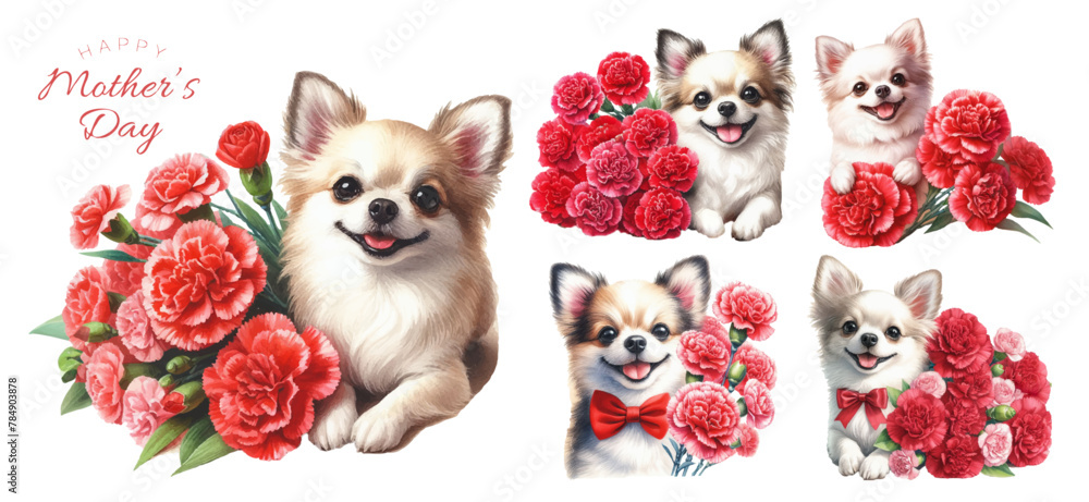 Chihuahua puppy and red carnation watercolor illustration material set