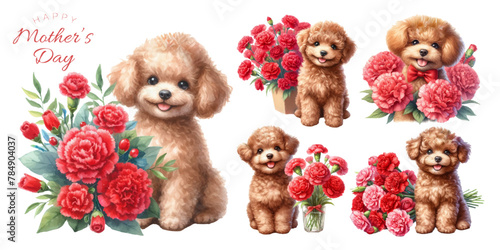 Toy poodle puppy and red carnation watercolor illustration material set
