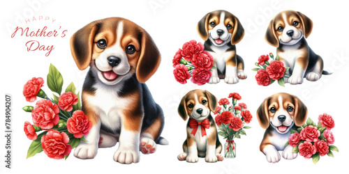 Beagle puppy and red carnation watercolor illustration material set