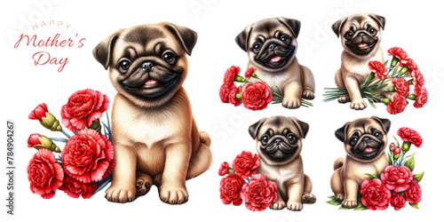 Pug puppy and red carnation watercolor illustration material set