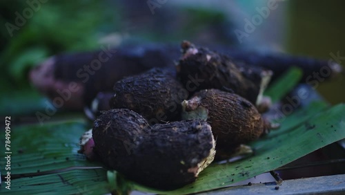 Freshly harvested tapioka or cassava roots on sale at the market stall.