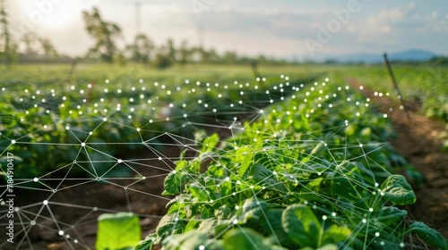 Precision Agriculture IoT Devices Capturing Farm Data for Sustainable Cultivation and Environmental Monitoring