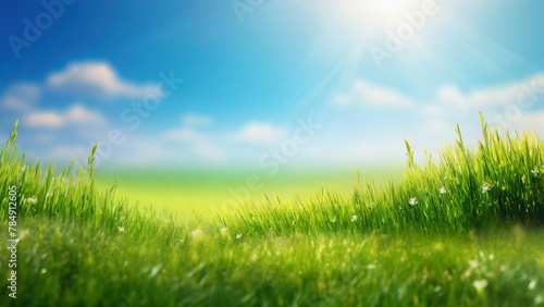 Green grass and blue sky with sun rays. Spring nature background.