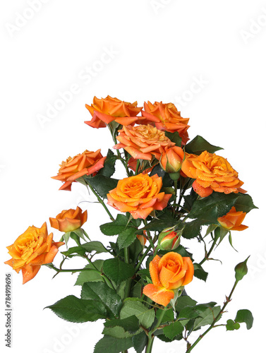 A bouquet of orange roses for Valentine's Day