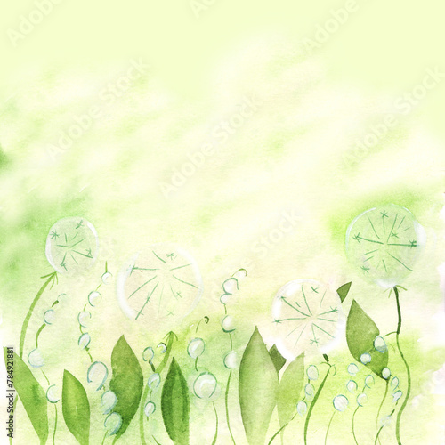 Summer watercolor background blooming dandelions and green leaves, fluffy balls on a meadow or field. Nature illustration hand drawn, can be used for design of cards, labels, tableware print