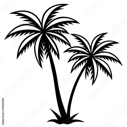 Tropical palm tree set silhouettes vector