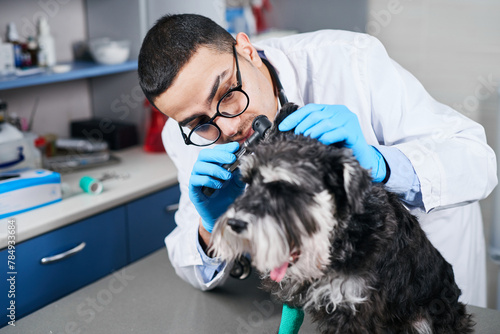 Veterinarian examining dog's ears with otoscope