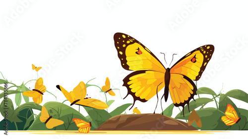 Yellow butterfly and weaver ants isolated on white © Mishi