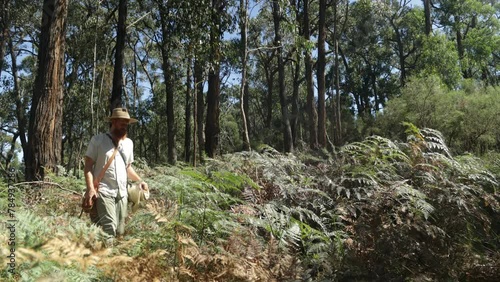 Australian bushman dressed as an historical swagman walking through the bush photo