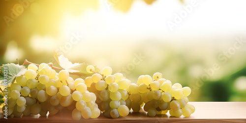 Grape and vine vinegrape of sangiovese under sunlight autumn summer with blured background
 photo