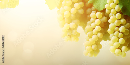 A bunch of grapes with green leaves agriculture wineculture with blured background
 photo