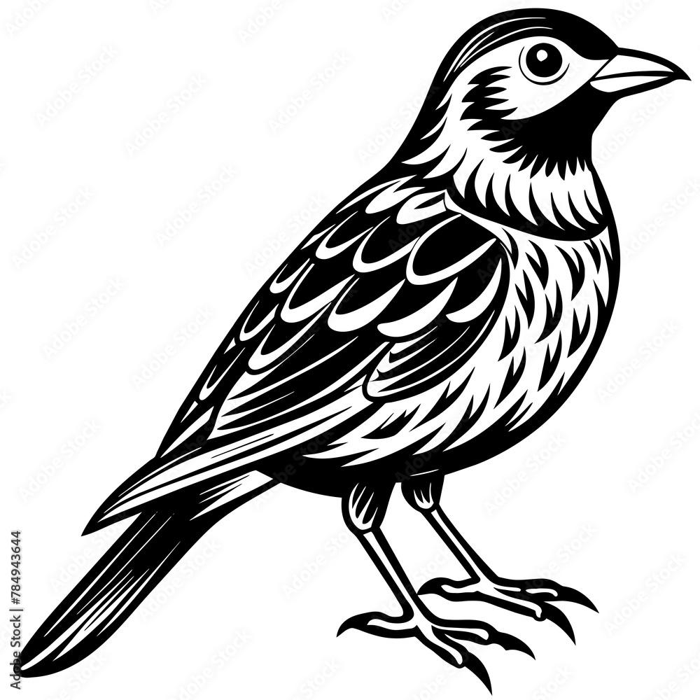 Obraz premium Bird vector illustration. 