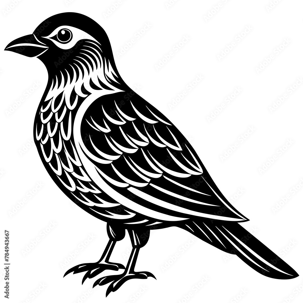 Fototapeta premium Bird vector illustration. 