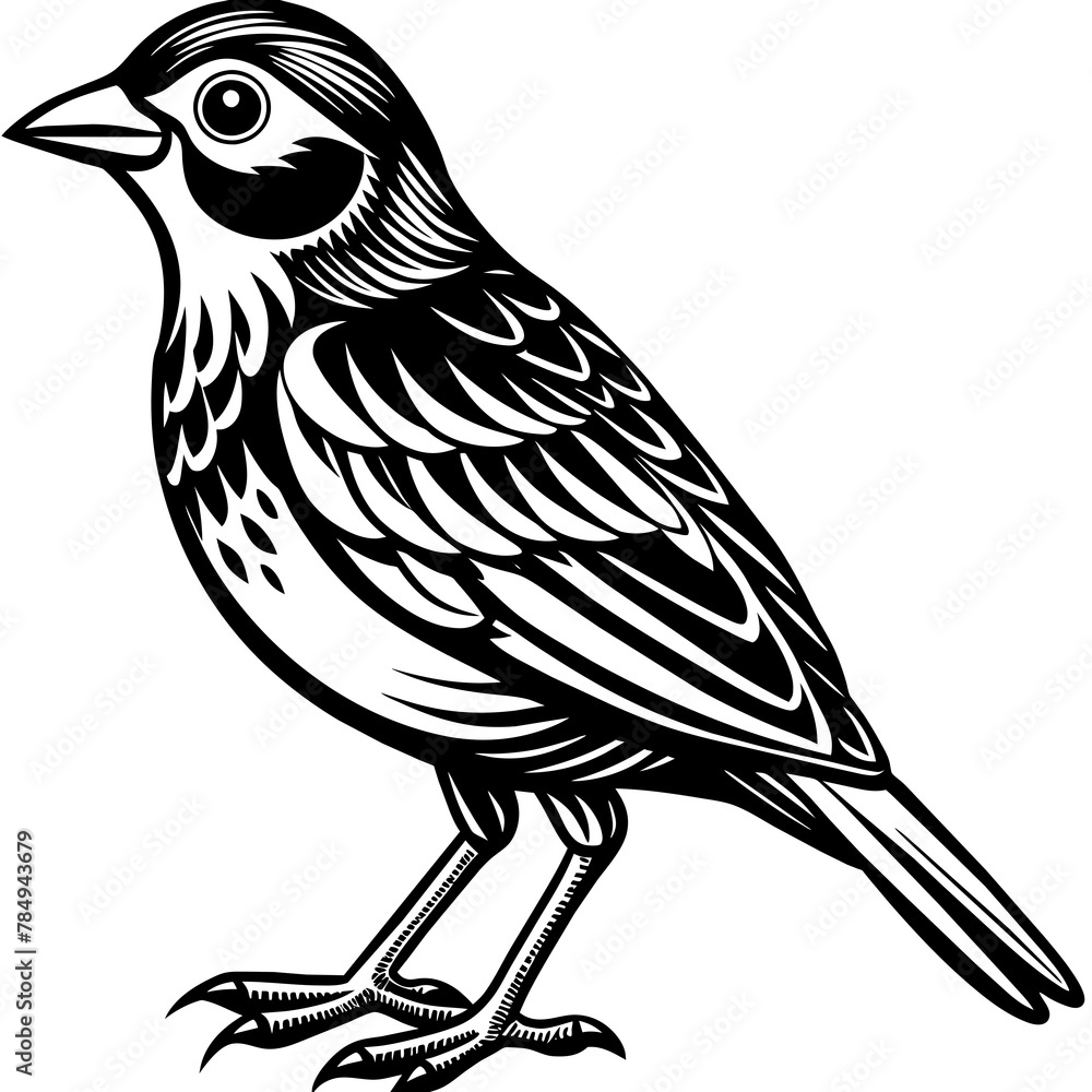 Naklejka premium Bird vector illustration. 