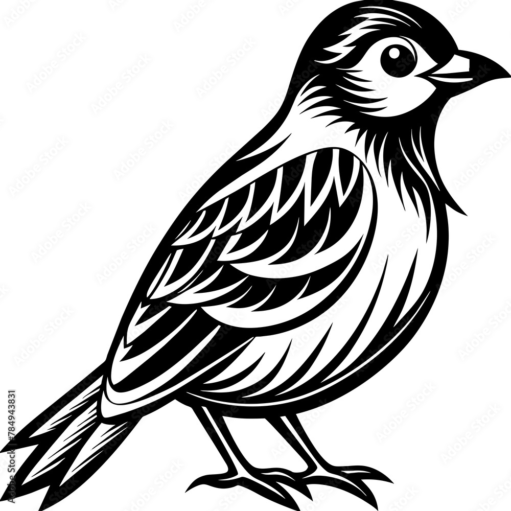 Fototapeta premium Bird vector illustration. 