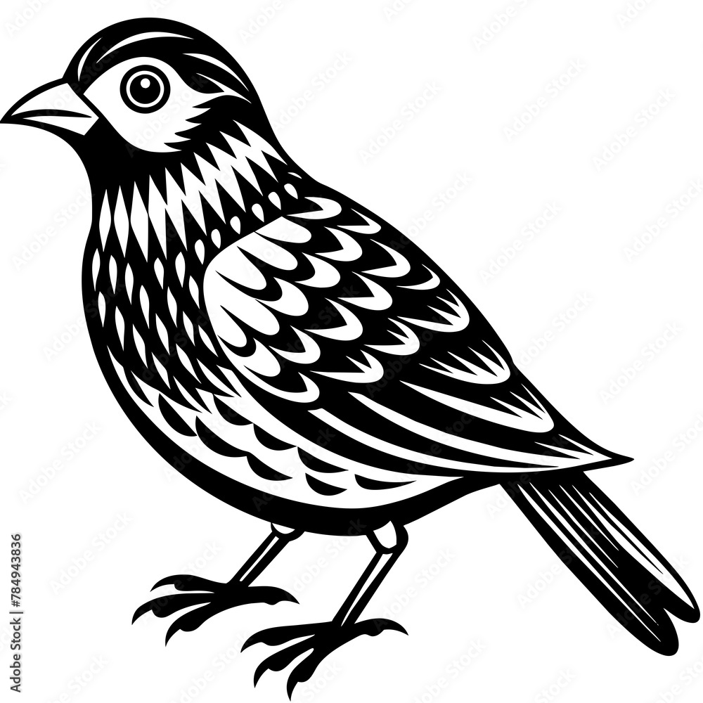 Obraz premium Bird vector illustration. 