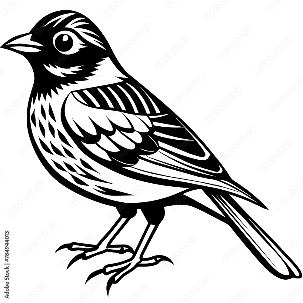 Fototapeta premium Bird vector illustration. 