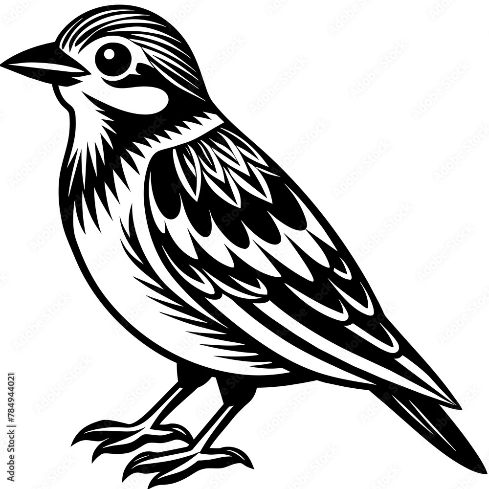 Naklejka premium Bird vector illustration. 