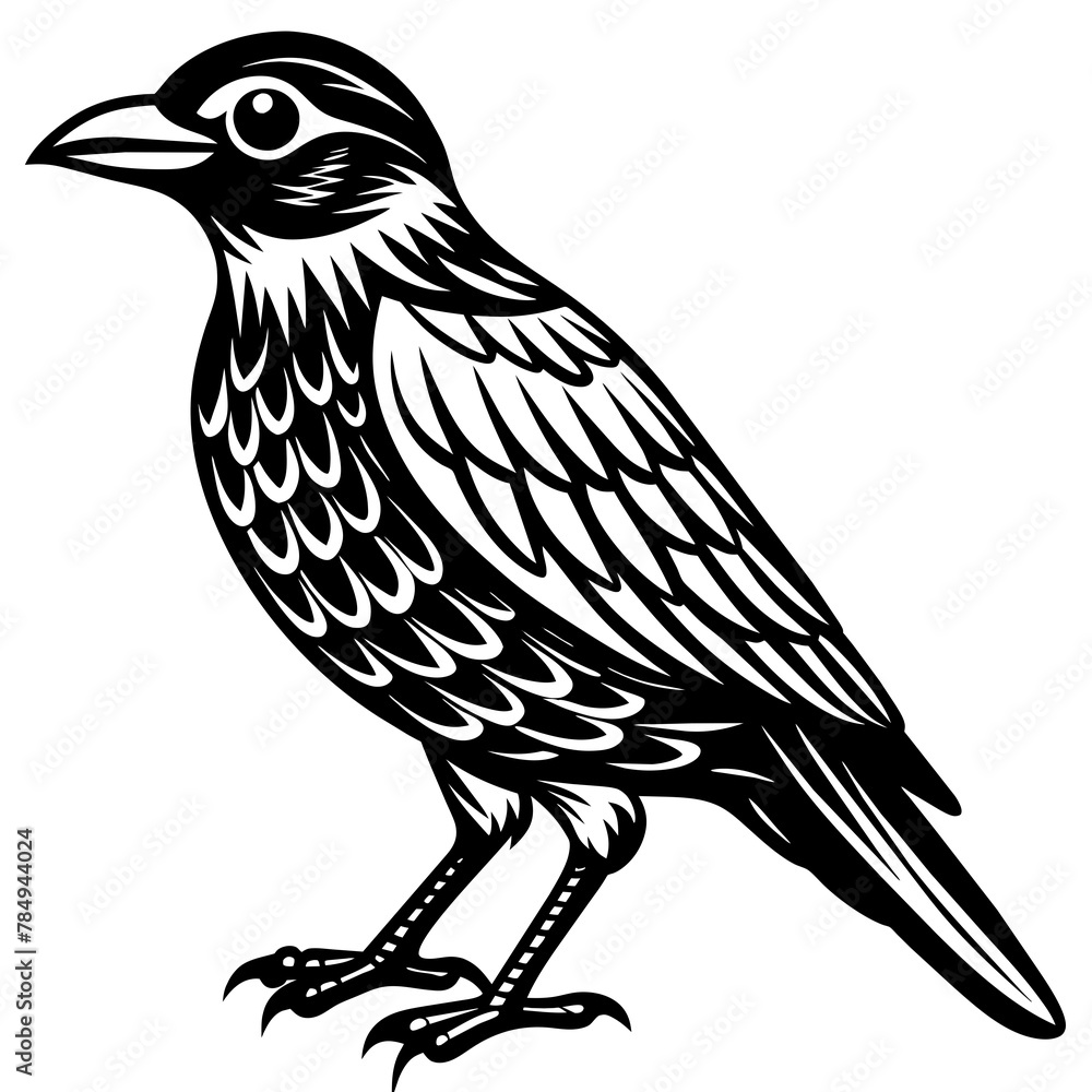 Fototapeta premium Bird vector illustration. 