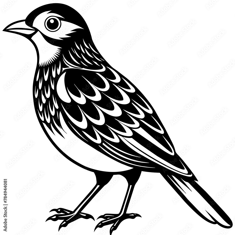 Fototapeta premium Bird vector illustration. 