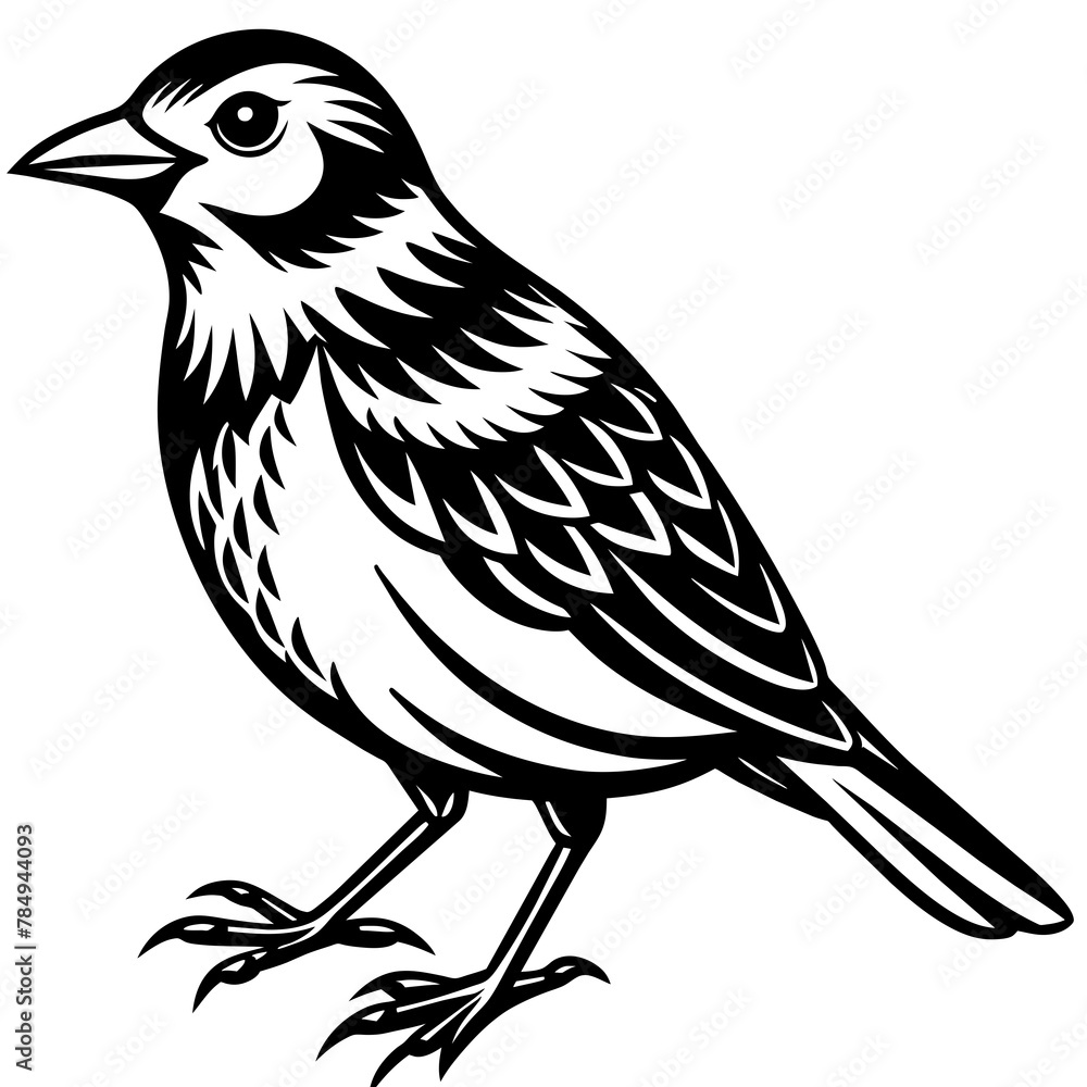 Fototapeta premium Bird vector illustration. 