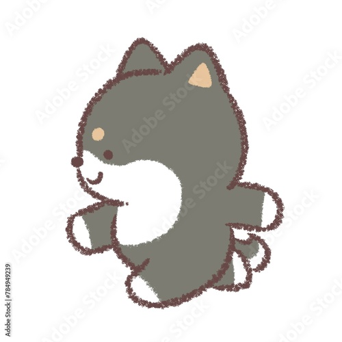 走る黒柴犬