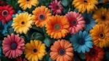 Floral Seamless Background. Gerbera Daisy Meadow Seamless Background.