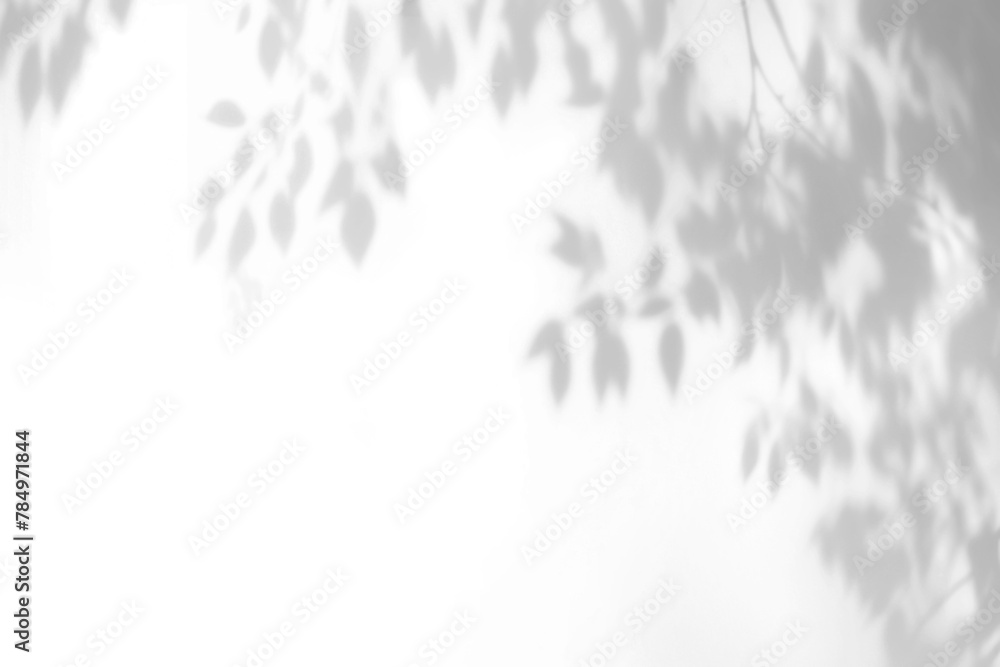 Naklejka premium PNG Leaf shadow effect, transparent background