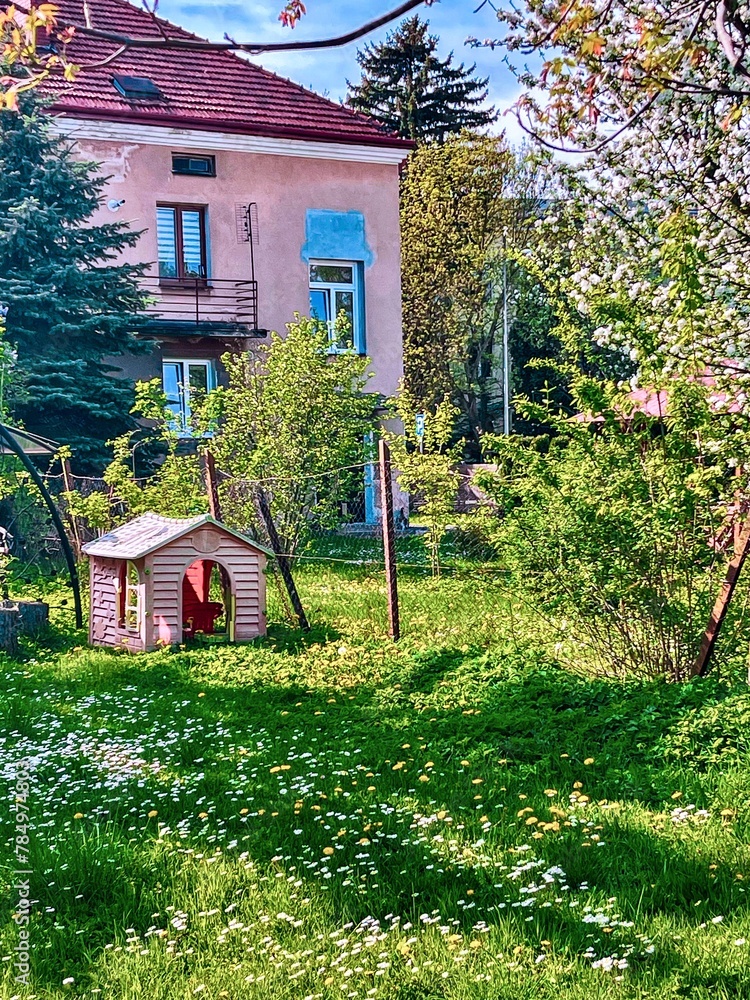 A beautiful fragment of a small garden in Jaslo, Poland.