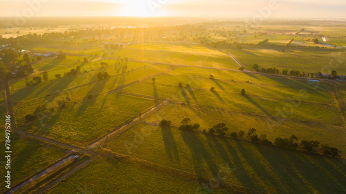 Aerial view of golden morning light and long shadows over green farmland photo