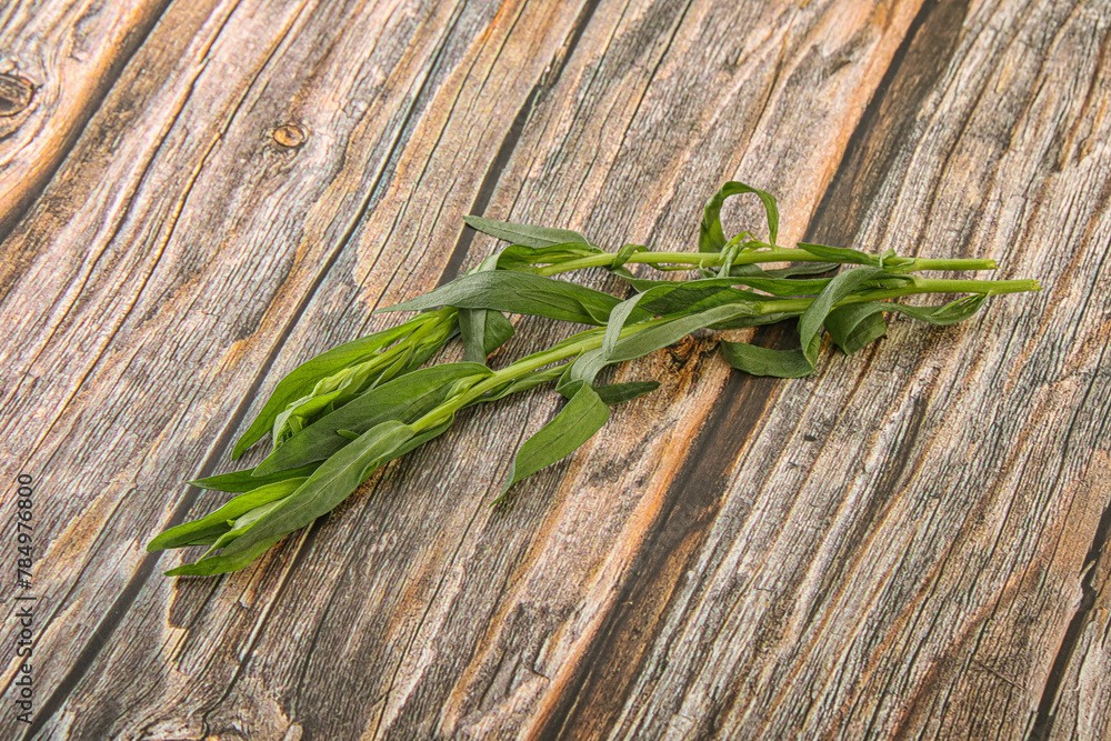 Green tarragon herb spice for cooking Green tarragon herb spice for cooking