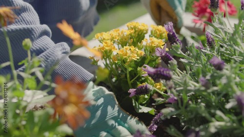 Young woman planting and watering flowers on a warm spring afternoon