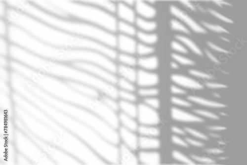 Wallpaper Mural Window shadow png overlay effect, transparent background Torontodigital.ca