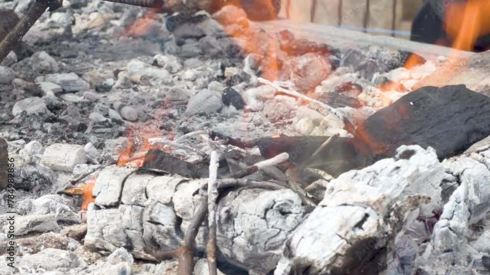 Hand places charcoal to feed the fire of a barbecue. Hand places charcoal to feed the fire of a barbecue.