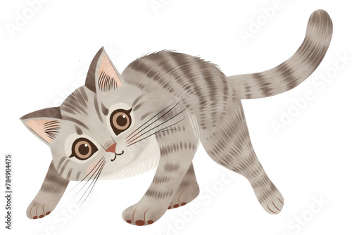 PNG  Tabby kitten tiping cat animal mammal photo