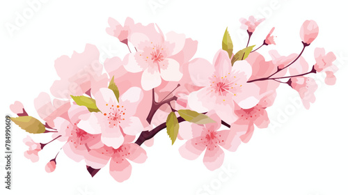 A cluster of delicate cherry blossoms their pink petal © Jasmin