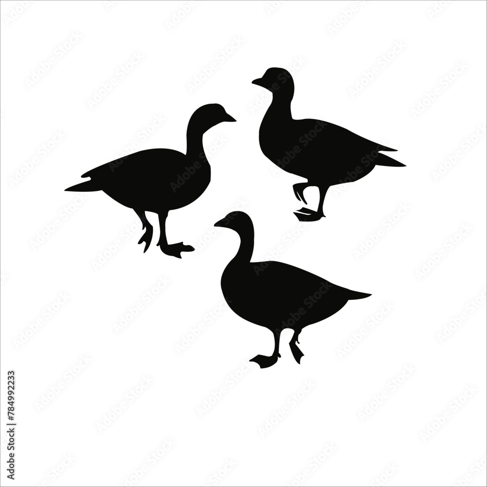 Fototapeta premium Graceful Silhouettes of Majestic Goose Birds in Various Poses, Vector Avian Beauty for Your Projects