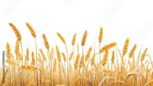 A field of golden wheat swaying in the breeze Flat vector
