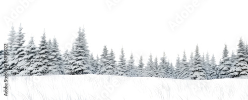 PNG Nature snow tree landscape
