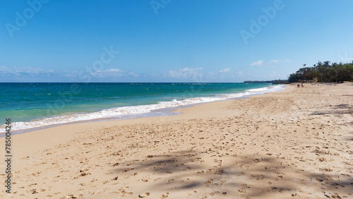 Landscape view of a beautiful beach in Ho'okipa Beach Park on the island of Maui, Hawaii, USA